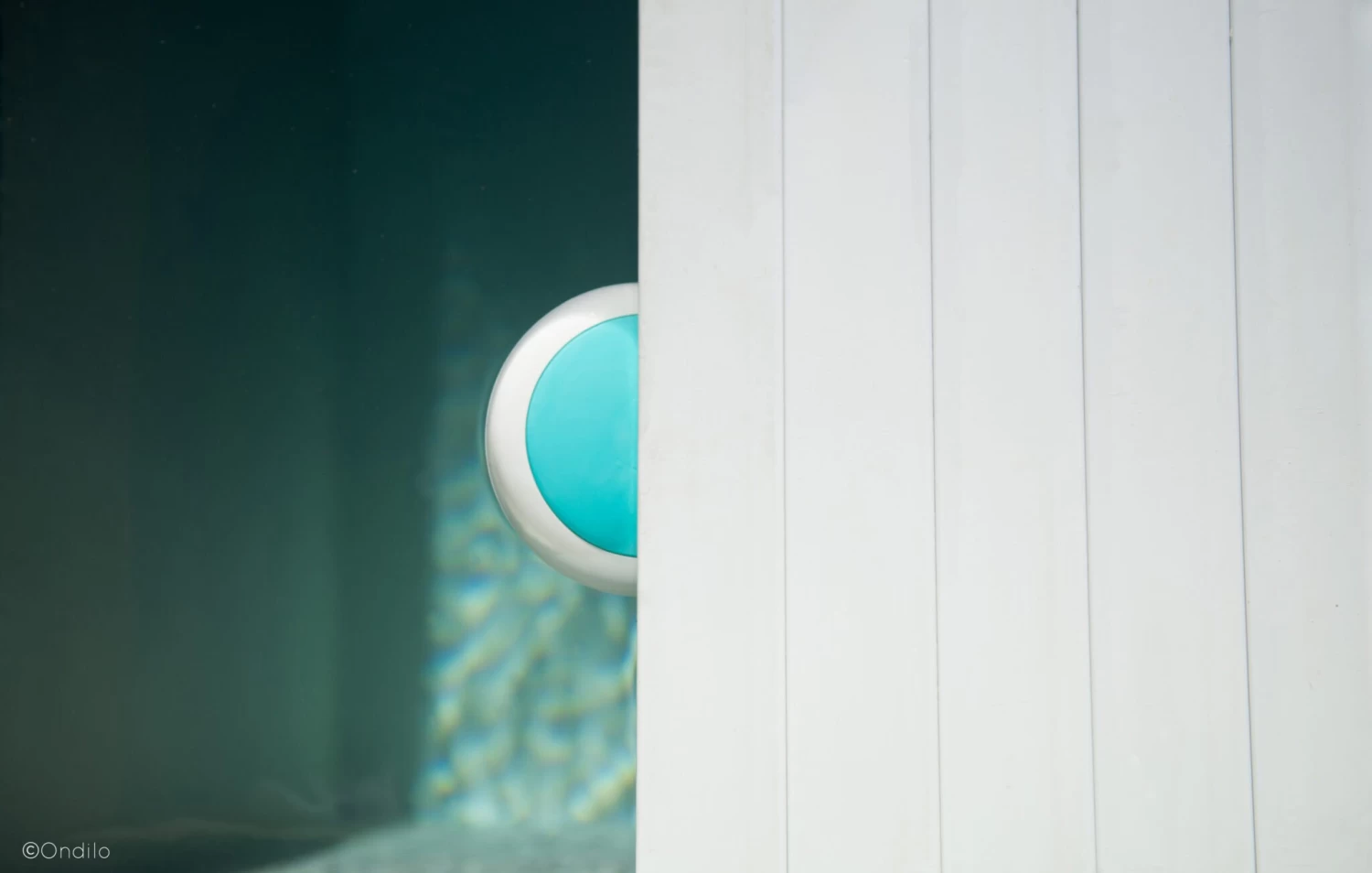 Zwembad Meter App Ondilo ICO - Afbeelding 8